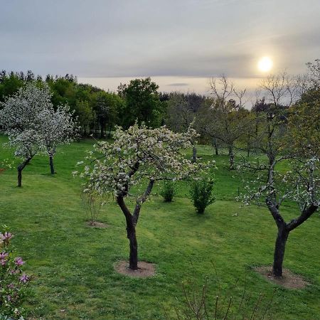 Villa Casa Pro Pantea à Monforte De Lemos Extérieur photo