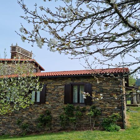 Villa Casa Pro Pantea à Monforte De Lemos Extérieur photo
