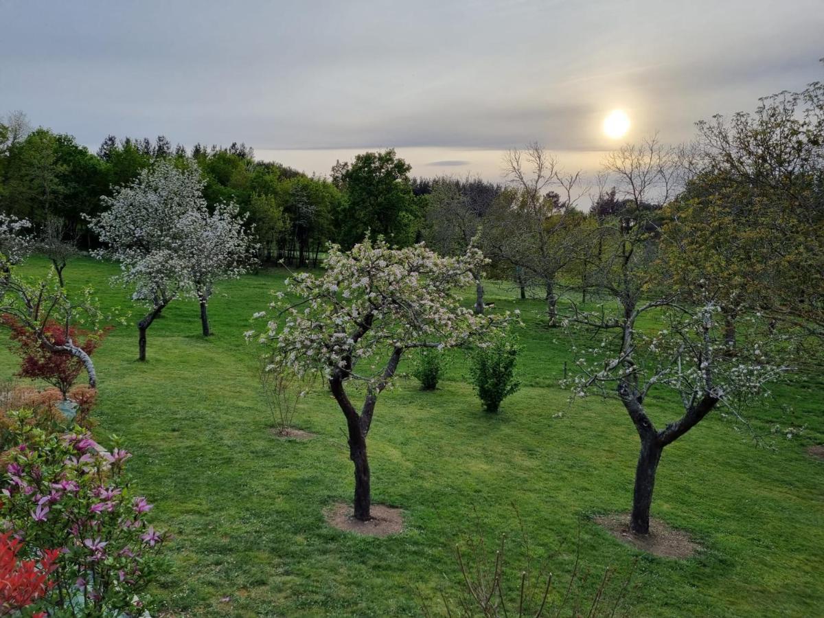 Villa Casa Pro Pantea à Monforte De Lemos Extérieur photo
